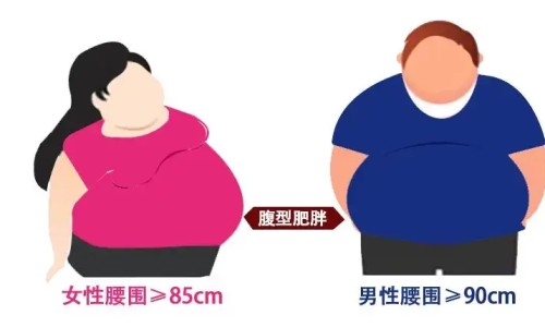 硫酸庆大霉素片说明书-硫酸庆大霉素胶囊说明书网 :分享硫酸庆大霉素使用说明-硫酸庆大霉素片剂知识
